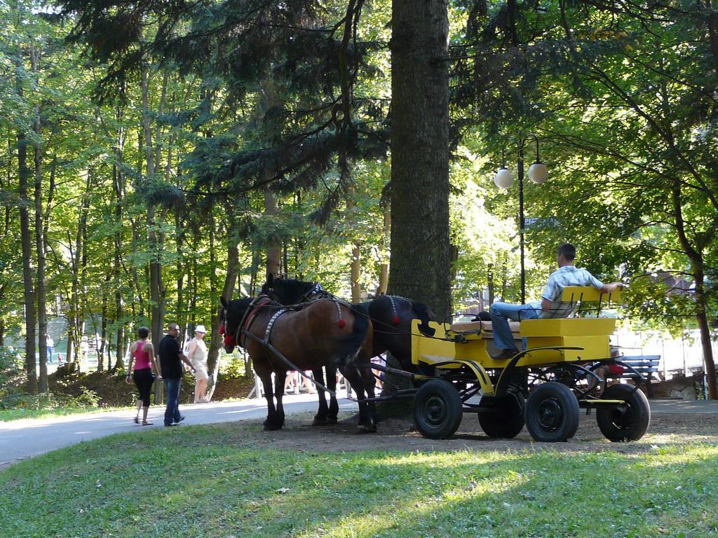 Villa Asturia Rymanów-Zdrój المظهر الخارجي الصورة